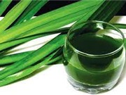 Tổng hợp vật liệu thân thiện môi trường từ lá dứa để loại bỏ chất gây ô nhiễm nước